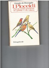 Ploceidi uccelli esotici - ploceidi,