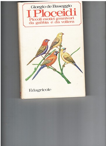 Ploceidi uccelli esotici - ,,