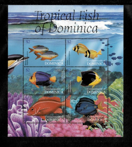 Dominica 2004 tropical fish - dominica,