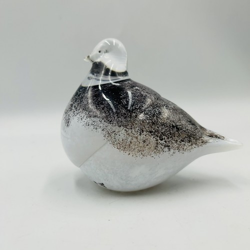 Bird paffuto vetro - bird,