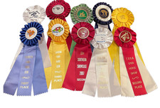 Lotto anni 2000 10 nastri PRETTY esposizione cavalli rosette artigianato GA Carolinas Paint Clubs