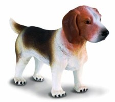 COLLECTA ANIMALI CANI CANE