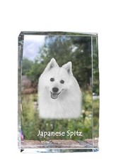 Japan-Spitz, Giapponese