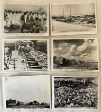 RACCOLTA DI SEI FOTO AFRICA