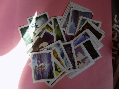 Lot images panini bambi 2 - 6,