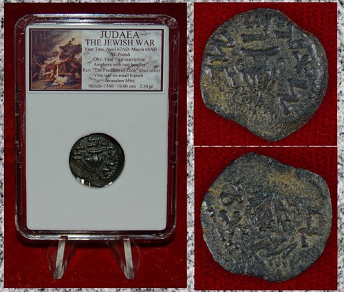 Moneta antica giudea guerra - moneta,