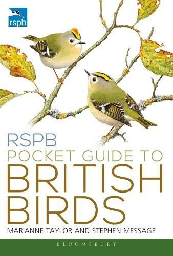 Rspb pocket guide british - pocket,