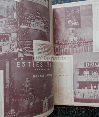 ENOLOGIA_VINO_UVE_CANTINE