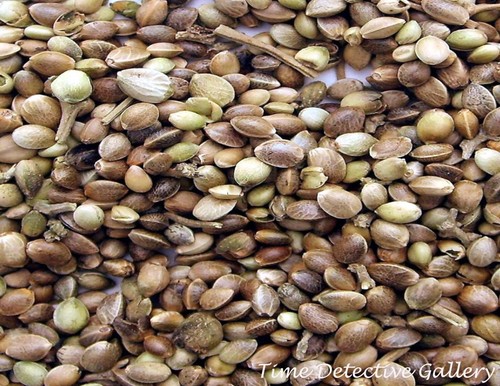 Mucchio cannabis sativa - mucchio, di