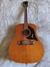Chitarra western Framus