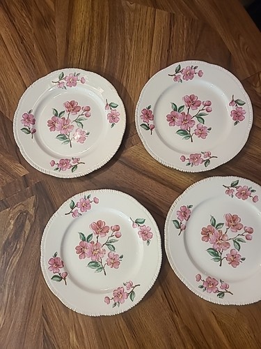 Piatto vintage homer laughlin - homer,