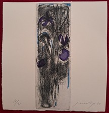 Piero Guccione acquaforte/acquatinta originale numerata e firmatafirmata