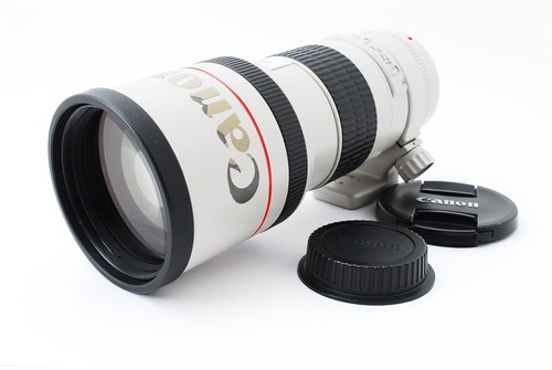 Canon 300 4 l usm - ef, mm