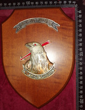 CREST GUARDIA DI FINANZA BASCHI VERDI LAMEZIA TERME RARITÀ!!!