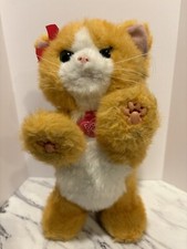 For Real Friends 2012 Gatto