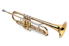 MAXTONE tromba - mod. TFL-236C