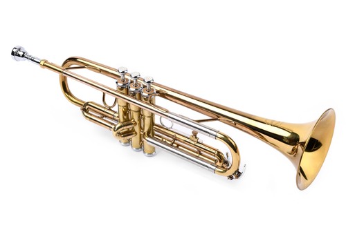 Maxtone tromba mod tfl 236c - maxtone,