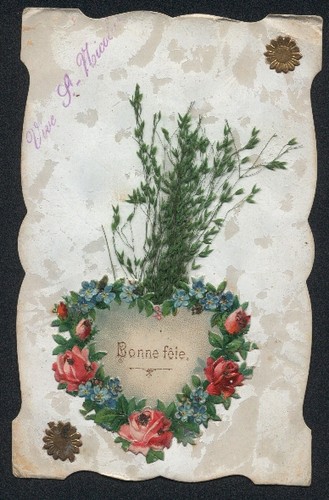 Erbe cartolina fiori secchi