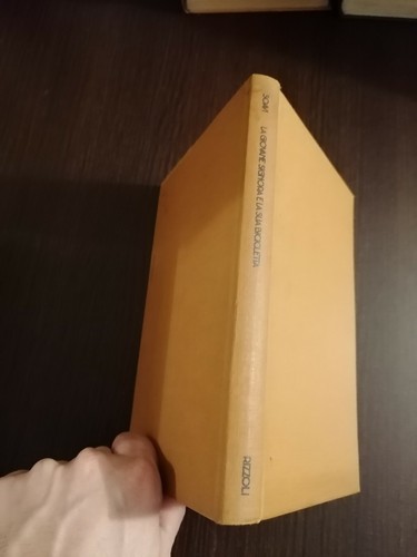 Giovane signora la - e,
