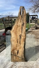 Tavola di legno di ulivo 166 x