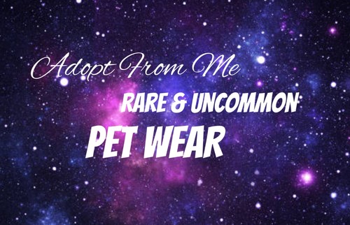 Trusted seller pet wear - seller-, adopt