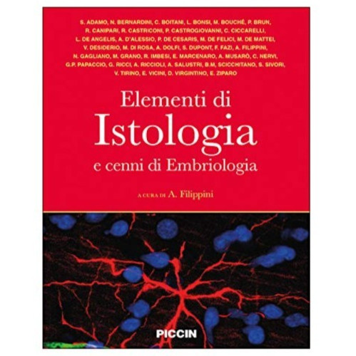 Elementi istologia cenni - elementi, e