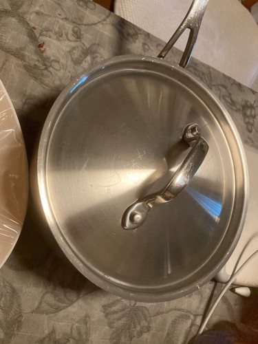 Lagostina stainless pot - stainless,
