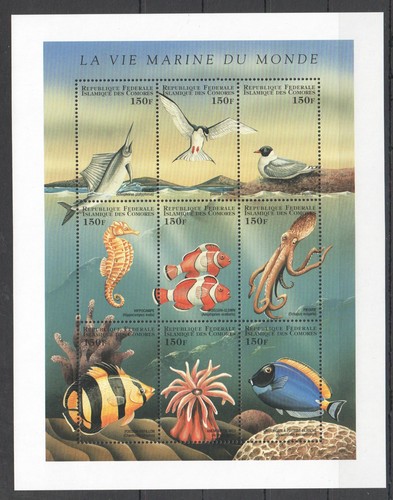 Comoros pesci uccelli navi - pesci,
