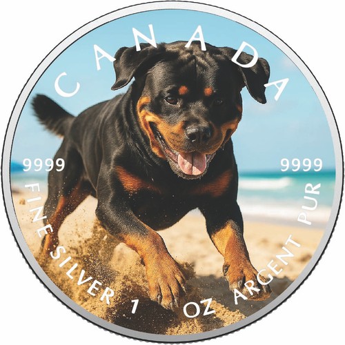 2026 canada oncia 9999 - canada, 1