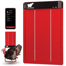 Porta run chicken - run-chicken,