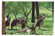 QSL Radio Australia Melbourne