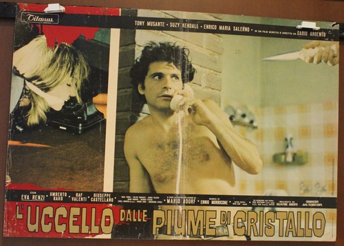 Fotobusta uccello dalle - -,