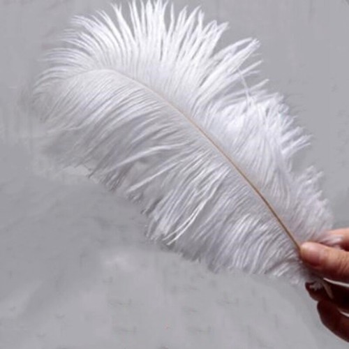 Confezione pezzi 30 cm - confezione,