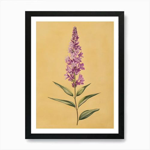 Stampa artistica lupin - stampa,