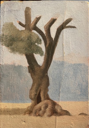Scuola romana anni 40 - scuola,