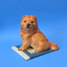 Chow Chow Il Mondo dei