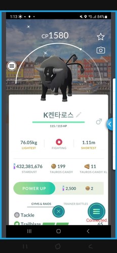 Shiny tauros copenhagen sfondo - tauros,
