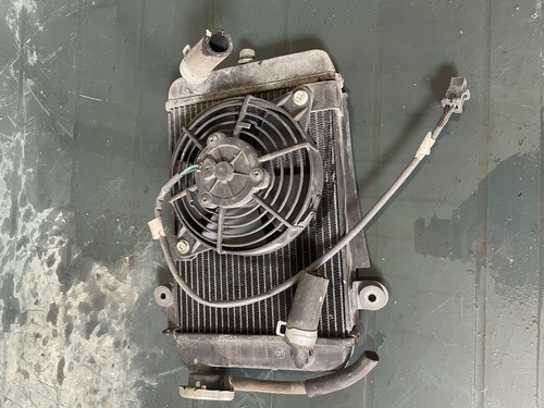 Radiatore acqua honda 300 - radiatore, sh