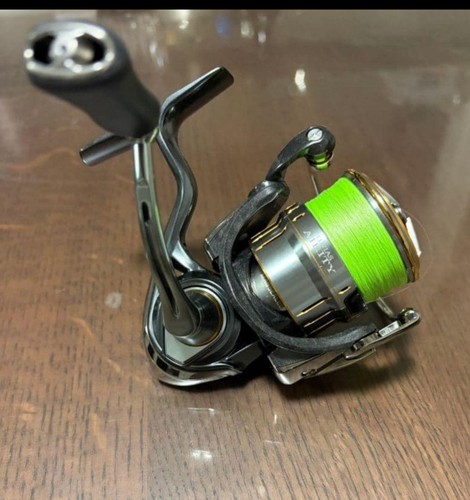 Daiwa luvias airity - airity, xh