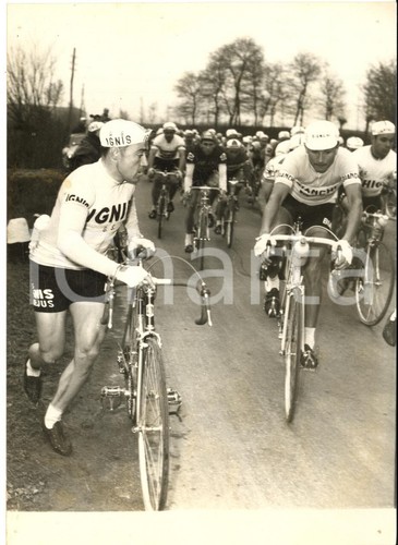 1959 ciclismo milano sanremo - 1959,