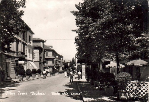 Pavia salice terme voghera - salice,