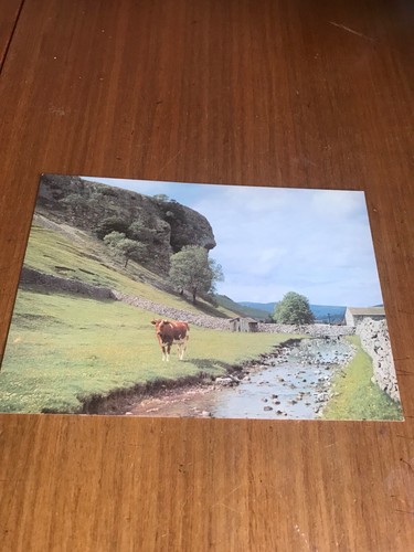 Kilnsey crag wharfedale - kilnsey,