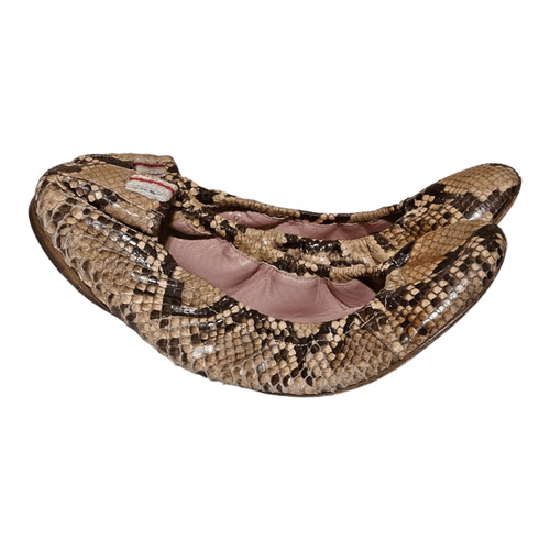 Ballerine gucci pelle di - in,