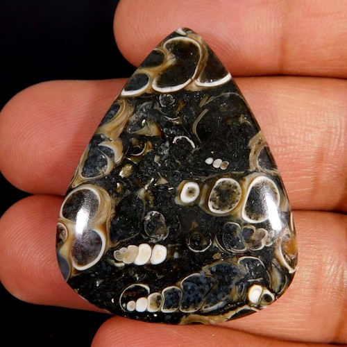 Pietra preziosa - 51,25,