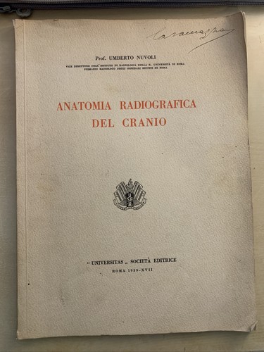 Anatomia radiografica del - radiografica,