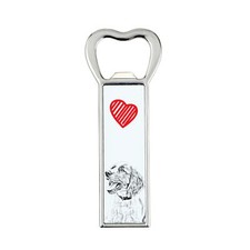 Springer Spaniel inglese