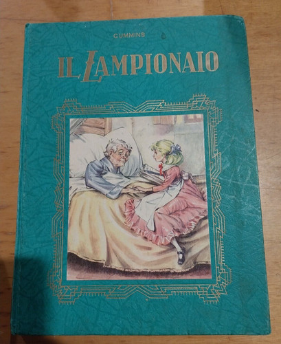 Libro romanzo lampionaio - il,