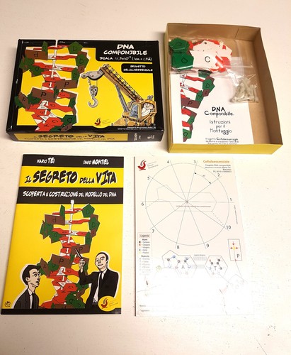 Kit modello dna componibile - dna,