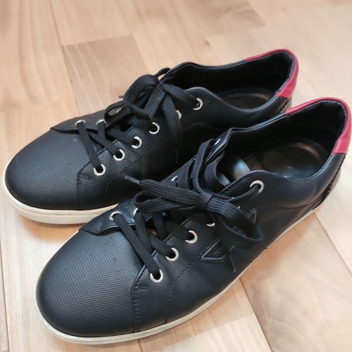 Dolce gabbana sneaker - &,