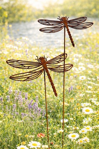 Spina giardino libellule - da,